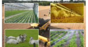 Nuestro ciclo de Agropecuaria. ¡Anímate!